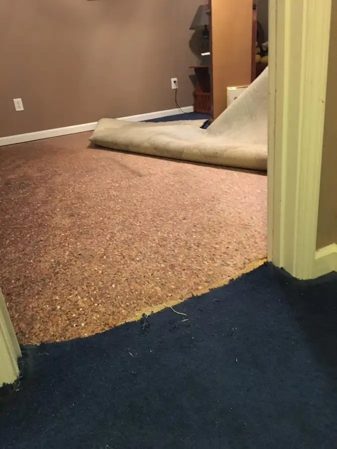 Carpet pad removal revealing water damage during Water Mitigation Services in Pearland