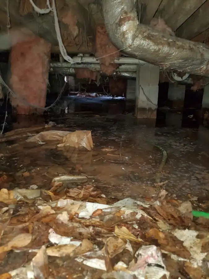 Crawl space flood assessment for Leak Detection & Repair in Pearland